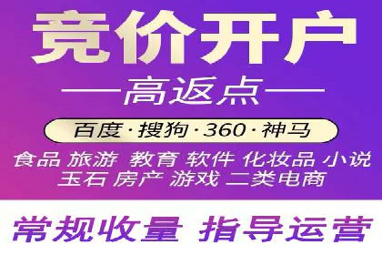 百度推广实战：案例分享与效果评估
